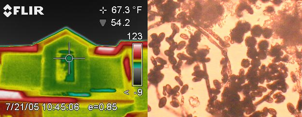 Cogent Building Diagnotics