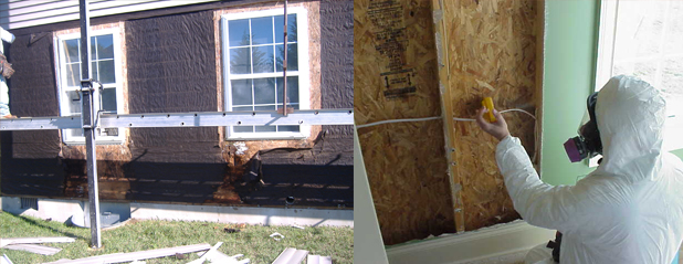 Cogent Building Diagnotics